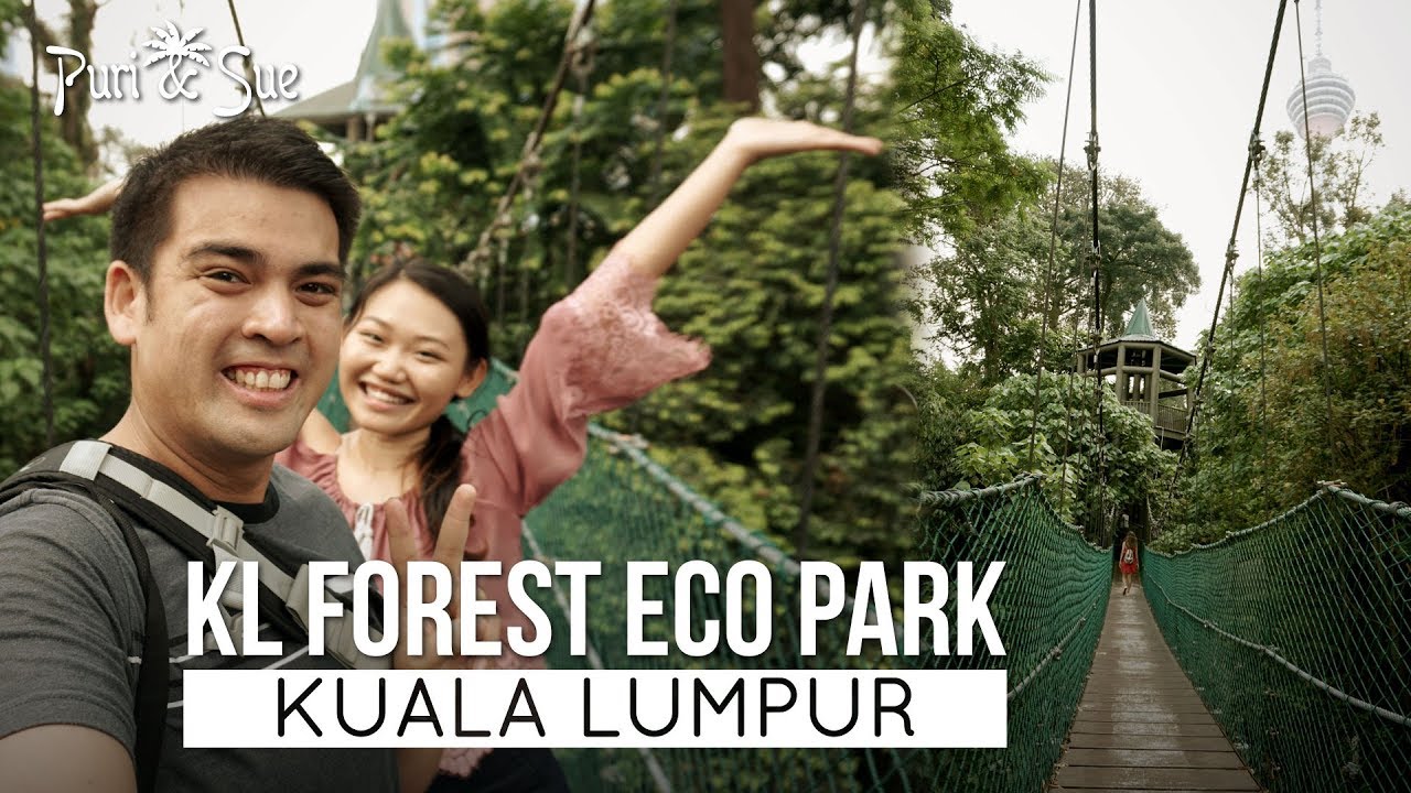 KL Forest Eco Park | Things to do in Kuala lumpur | Travel Malaysia