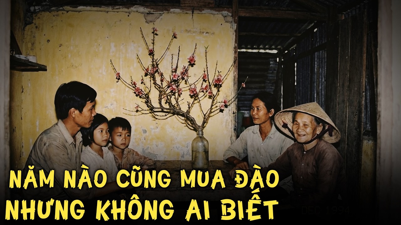 Hoa Đào Ngày Tết: Tại Sao Người Miền Bắc Nghèo Mấy Cũng Phải Sắm Một Nhành Trong Nhà?