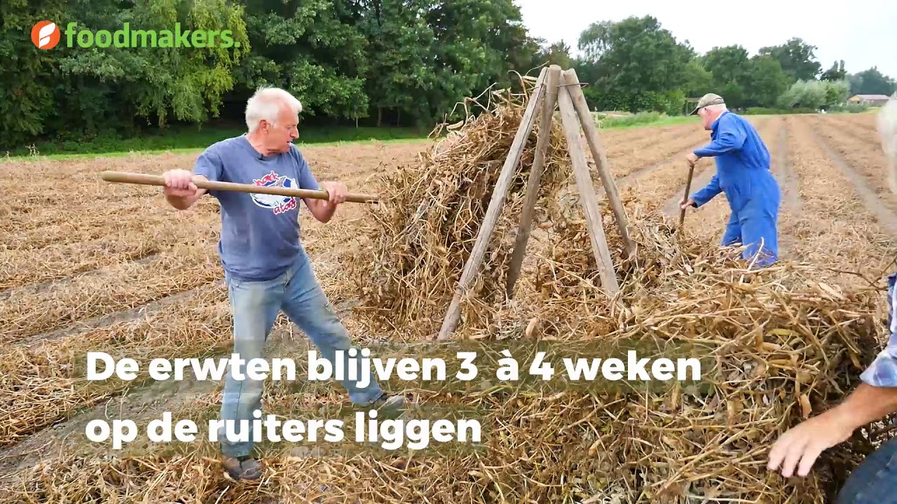 Hoe droog je grauwe erwten?