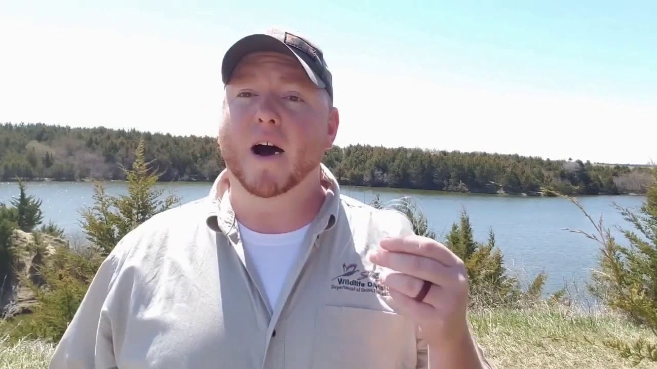 Recycling Fishing Line
