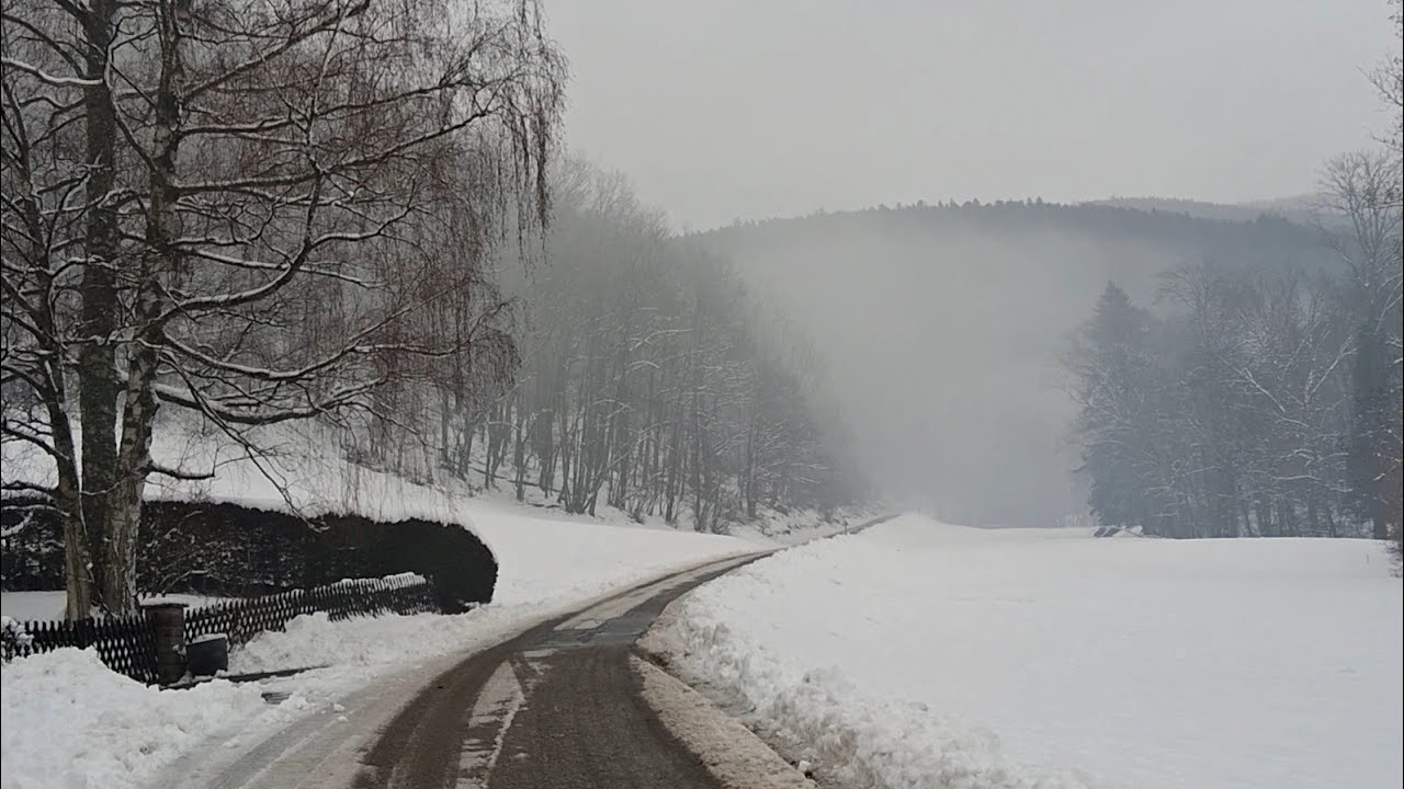 ⛄️❄️1) Little walk in the snow 🇨🇵// 1) Im Schnee spazieren (Elsaß)// 1) Promenade dans la neige (68)