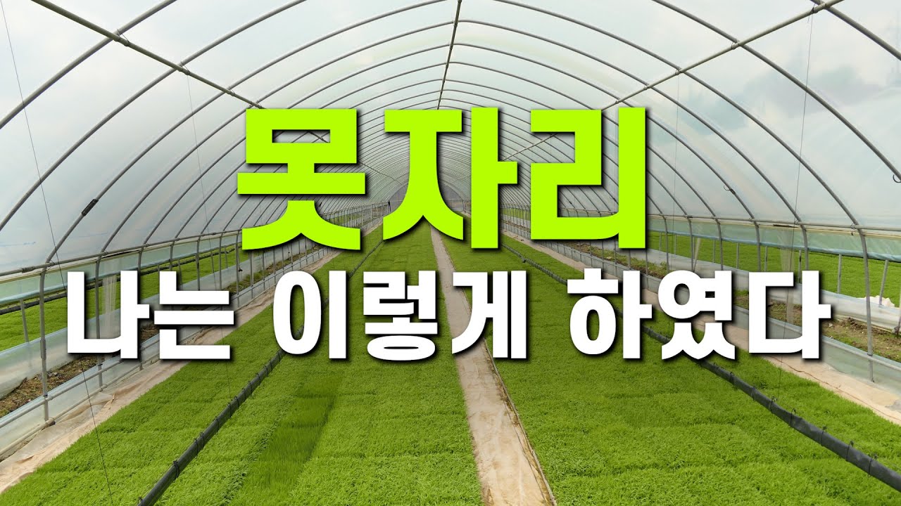 못자리 나는 이렇게 하였다!