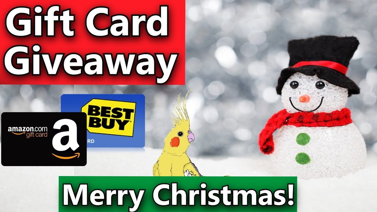 Amazon Gift Card and Best Buy Gift Card Giveaway! Merry Christmas!