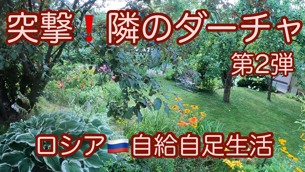 突撃・隣のダーチャ②コレぞ！サステナブルなダーチャの生活/ Sustainable Dacha’s Life #sdgvlog