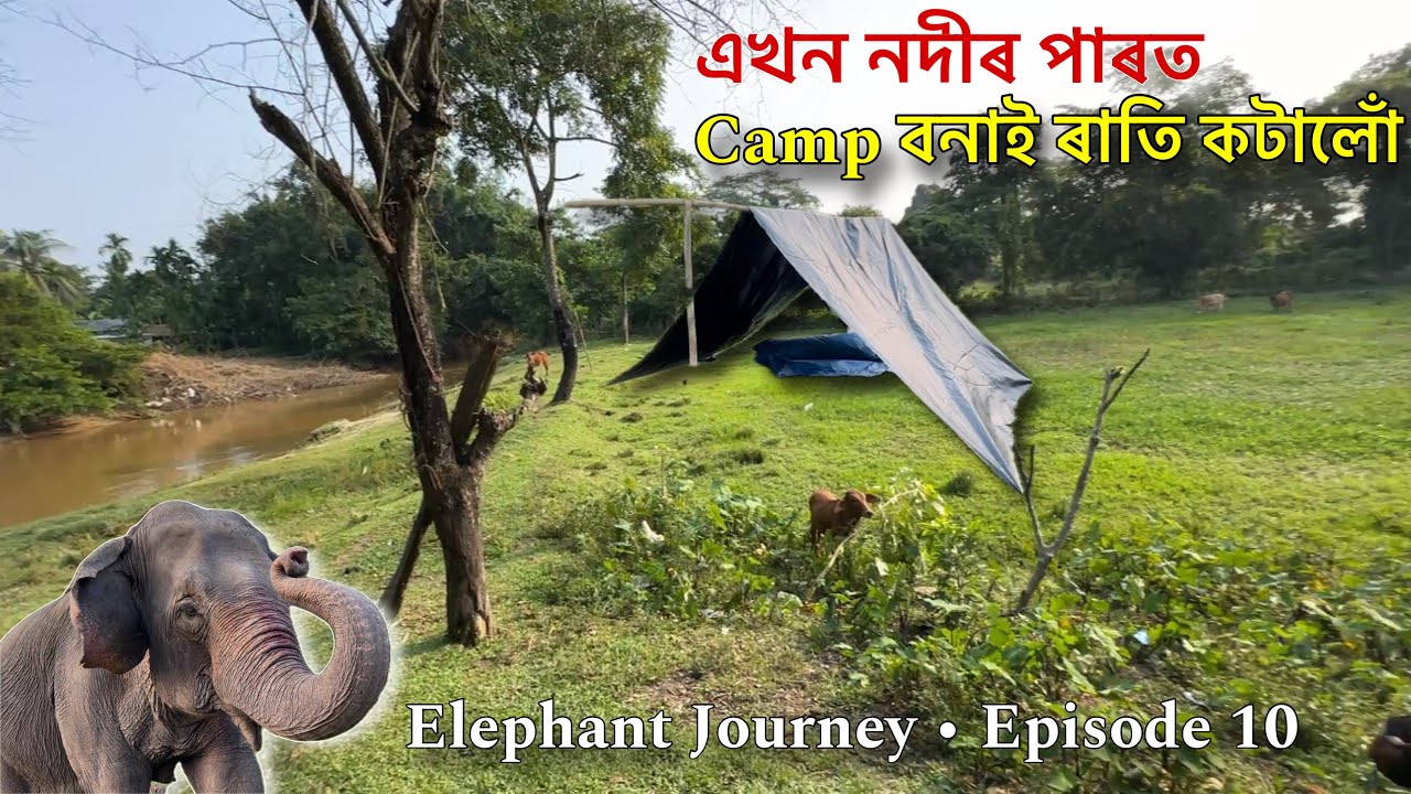 এখন নদীৰ পাৰত Camp বনাই ৰাতি কটালোঁ - Episode 10: Elephant Journey to Kaziranga 2024