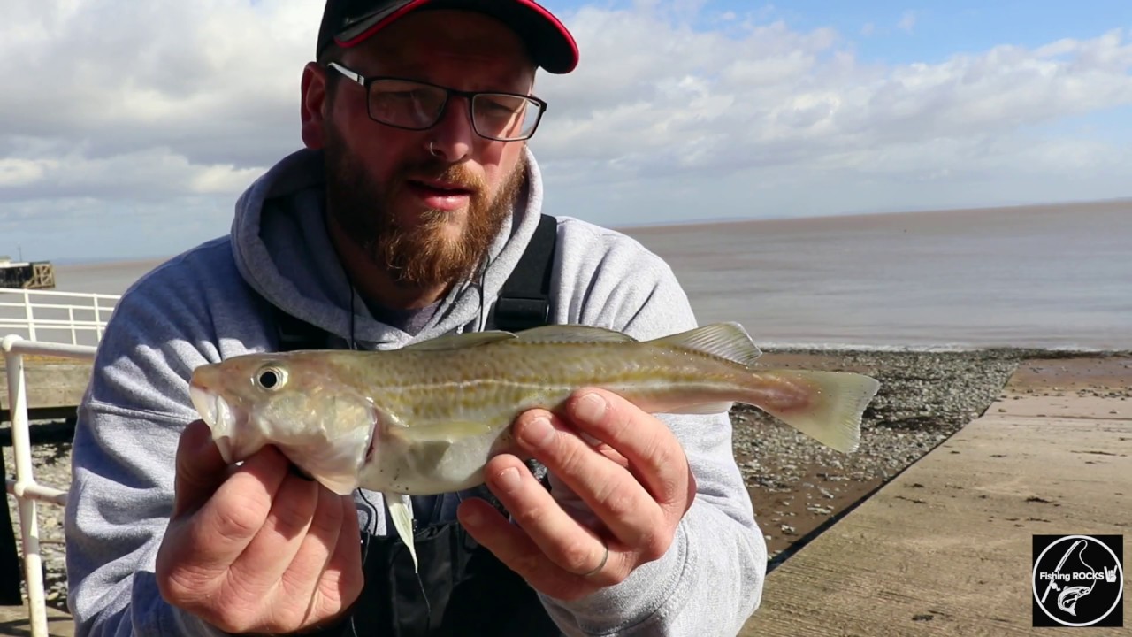 Fishing ROCKS Episode 3... Early spring Shore fishing Penarth beach/ Cardiff.