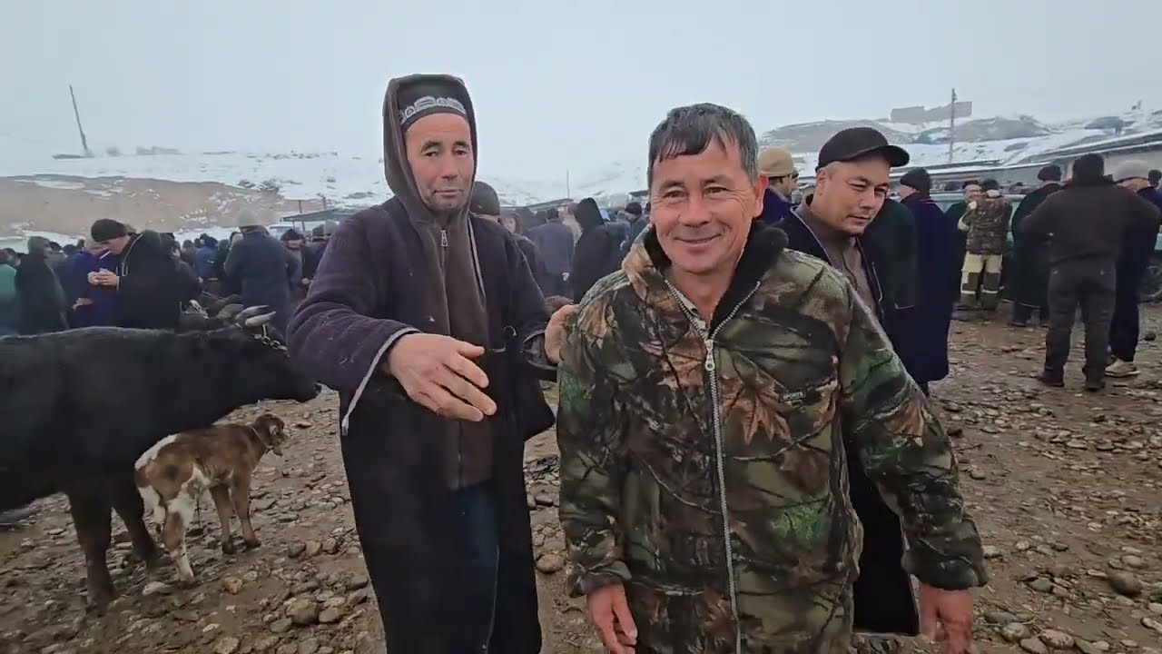 ИСКРА МОЛ БОЗОР КАТА МОЛ МАЙДА МОЛАР РАХМАТ