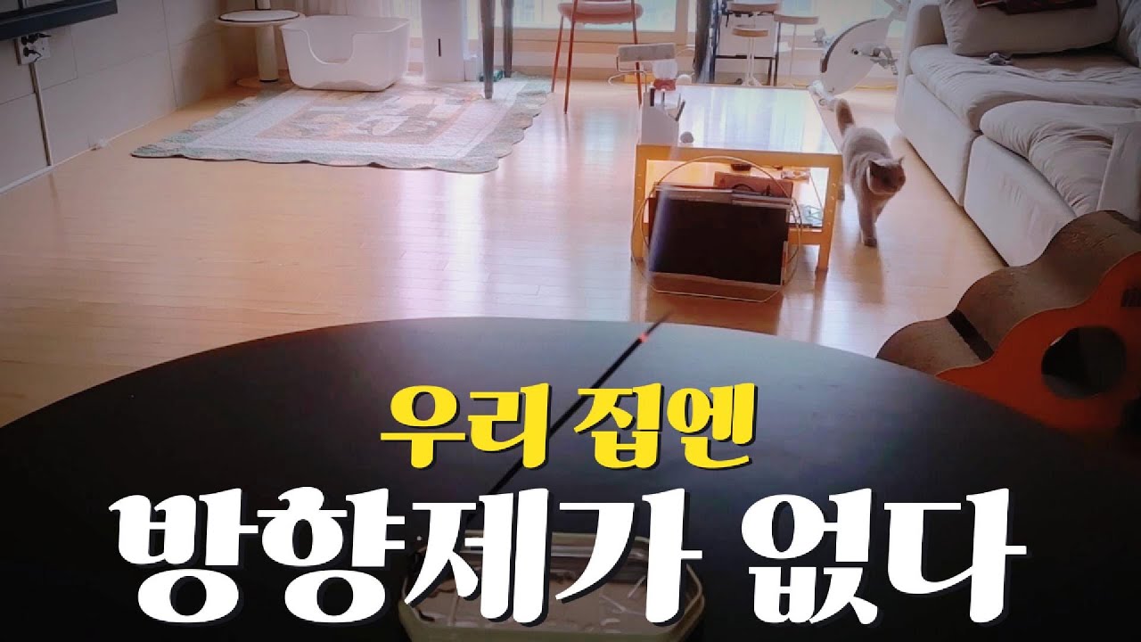 냄새를 덮지 않고 비우는 삶 - 매일 아침 환기의 기록