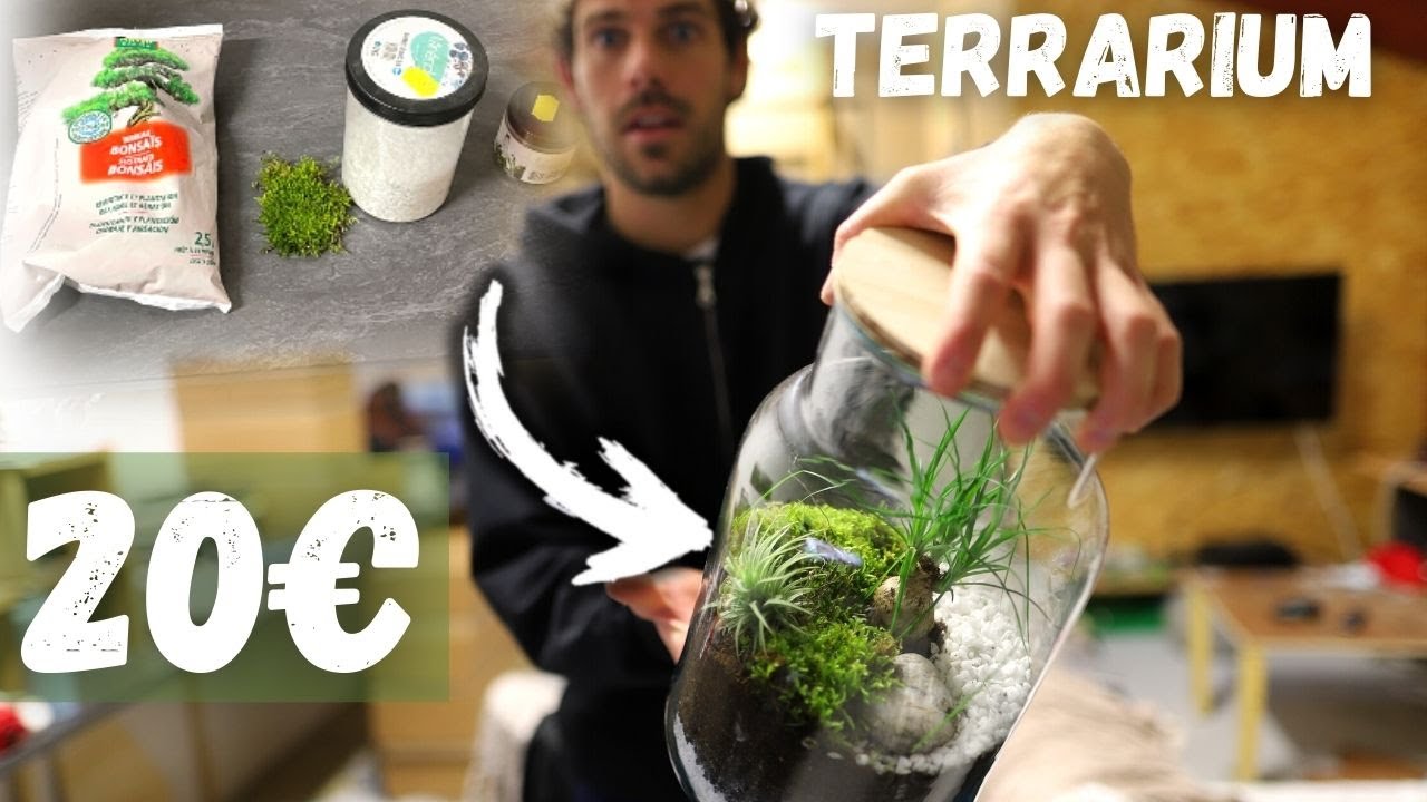 Créer son terrarium SOIS MEME ! ( PAS CHERE )
