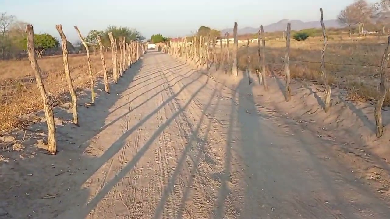 Indo pra casa de mae