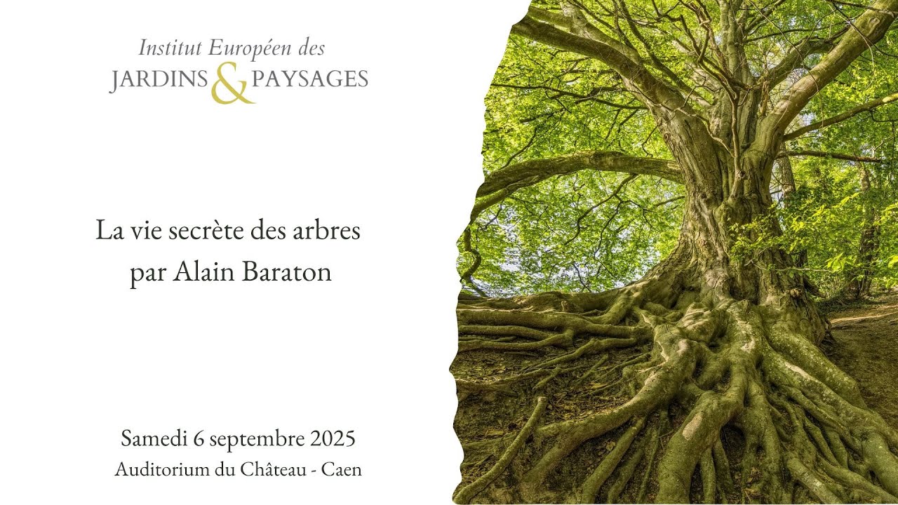 La vie secrète des arbres