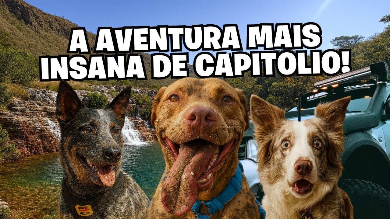 A Primeira Vez Do Bento Na Cachoeira + Passeio 4x4 | Será Que Ele Perdeu o Medo?