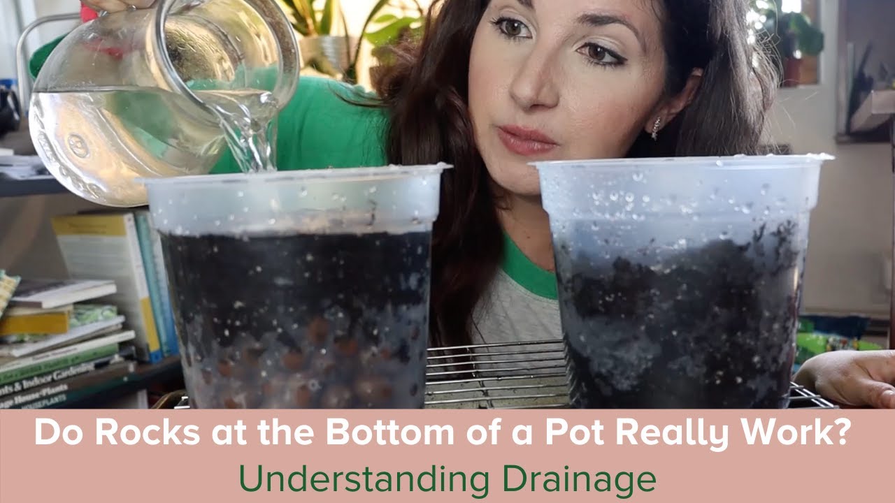 How Drainage Works in Pots, The Perched Water Table & a 