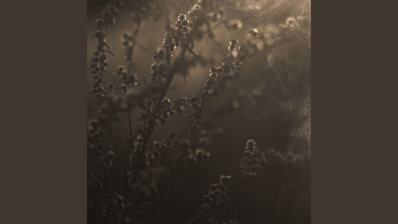 Halcyon