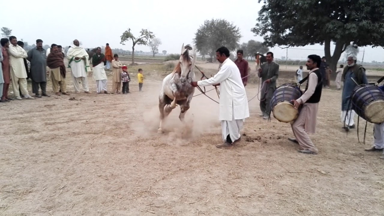 Haji Allah dita mohal caption dance