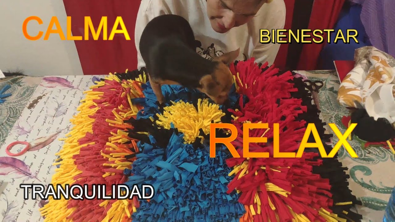 👉 calma , bienestar , tranquilidad, relax , alfombra canina