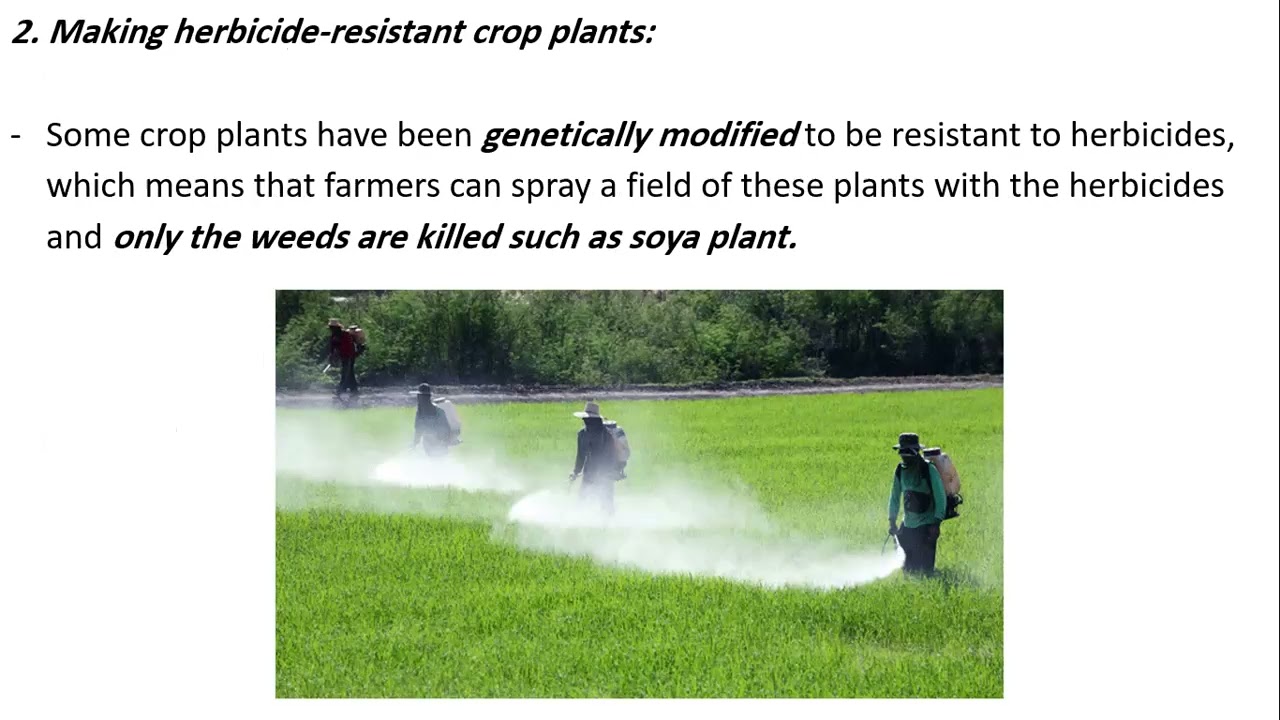 21.3 Genetic modification