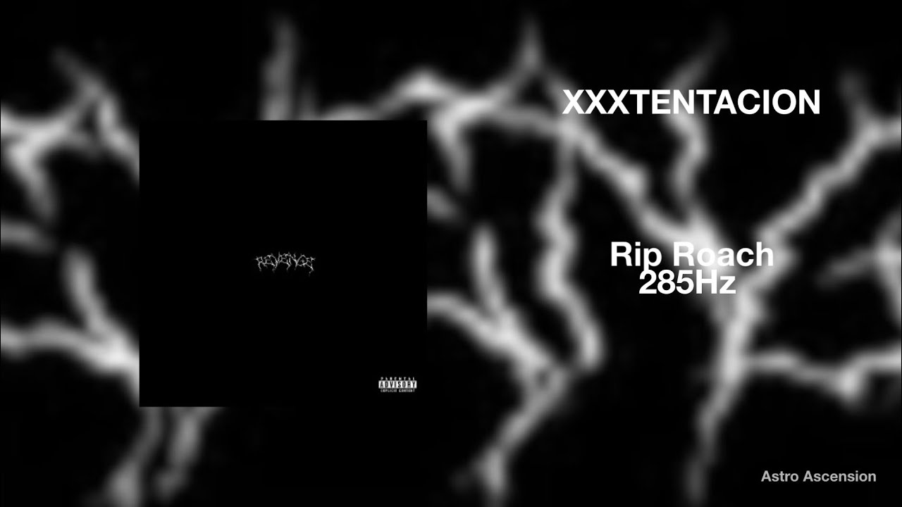 XXXTENTACION - RIP Roach ft. Ski Mask The Slump God [285Hz Rapidly Regenerate Tissue]