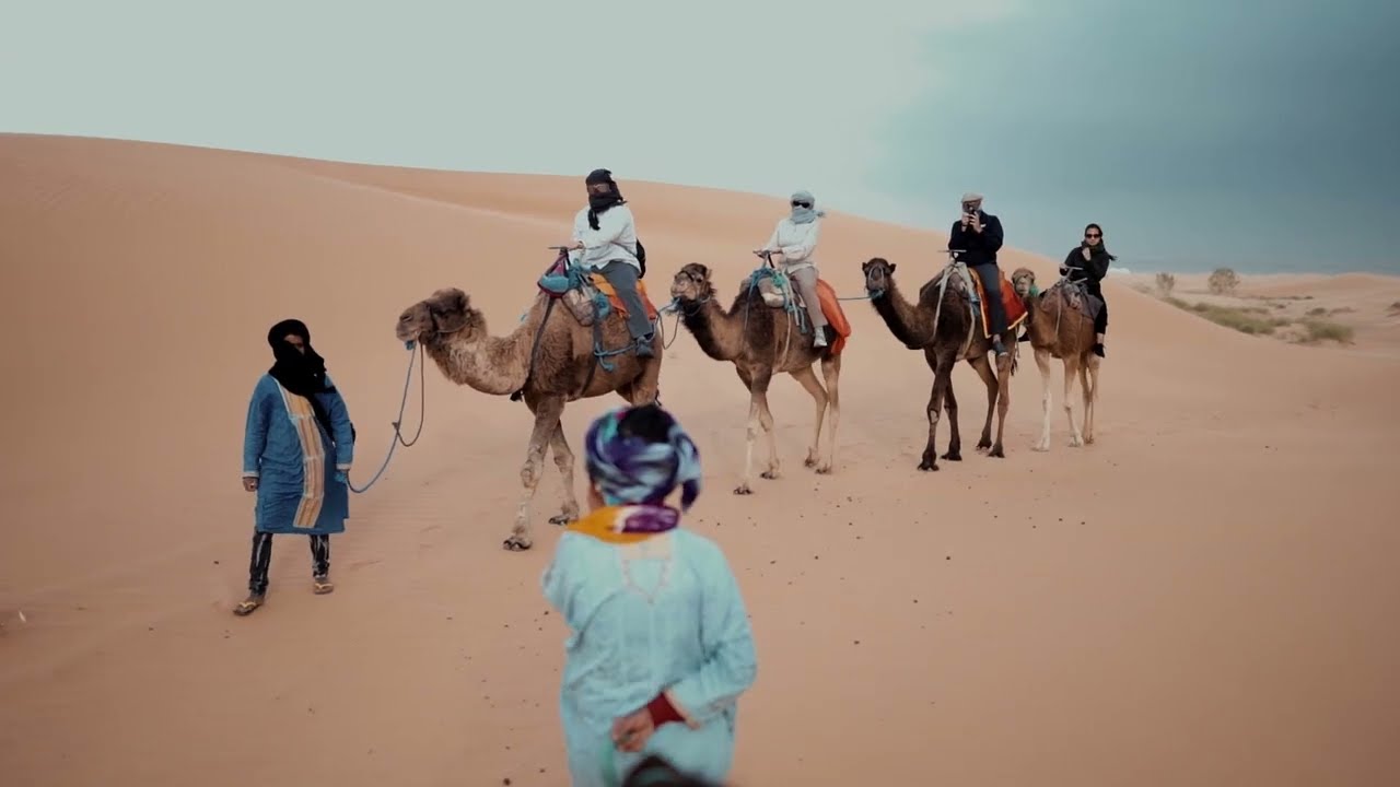 Safari Desert