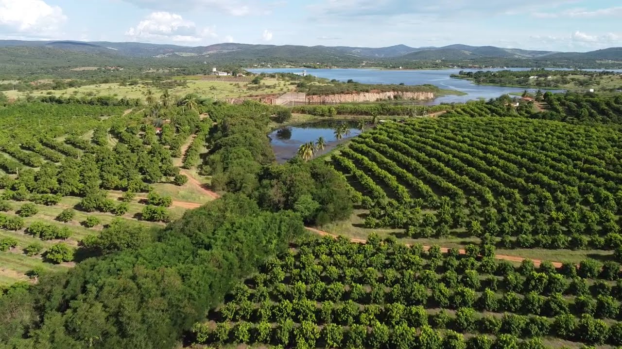 Fazenda Santa Clara - Bahia