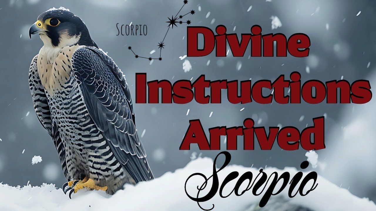📝Scorpio |👁️It's Non-Negotiable—You Are First Now | ♏