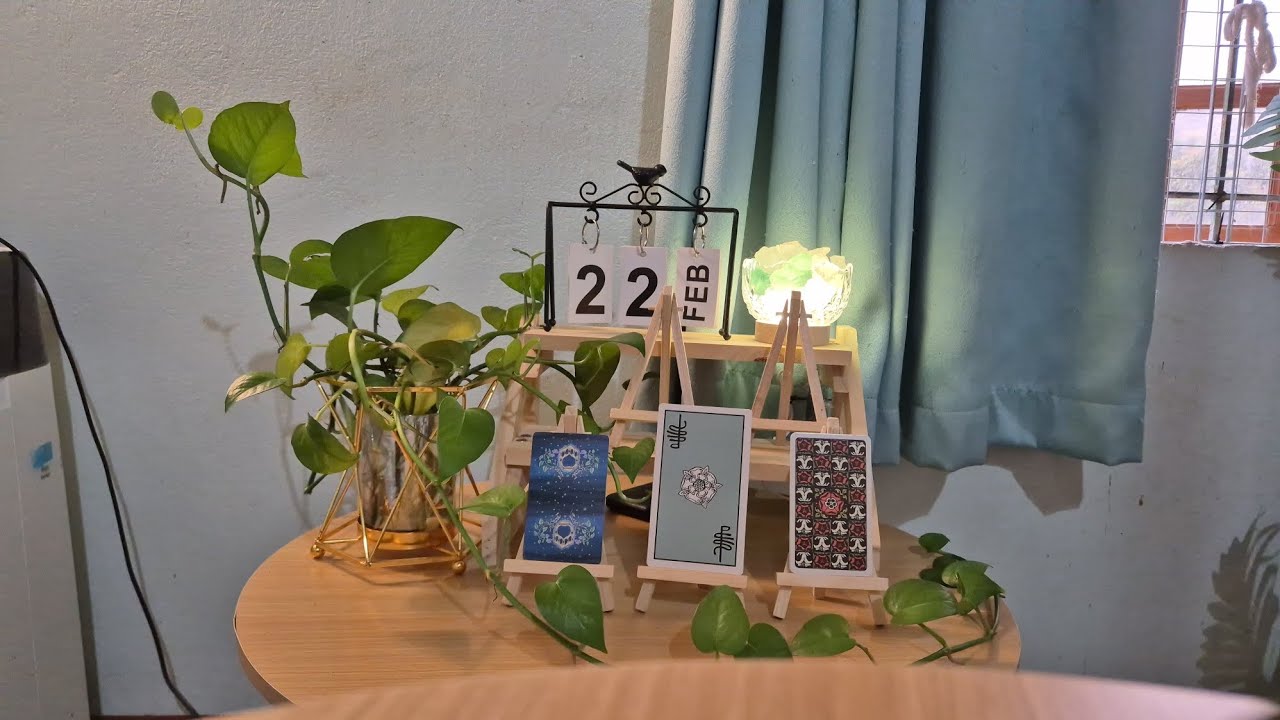 Trải bài Tarot cho ngày 22/02/2026