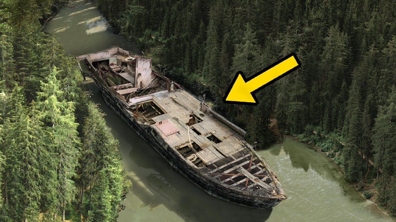 9 Strangest Things Found In The Woods!