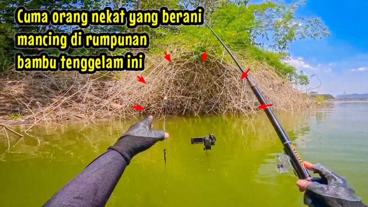 CUMA ORANG NEKAT YANG BERANI MANCING IKAN NILA DI RUMPUN BAMBU TENGGELAM INI