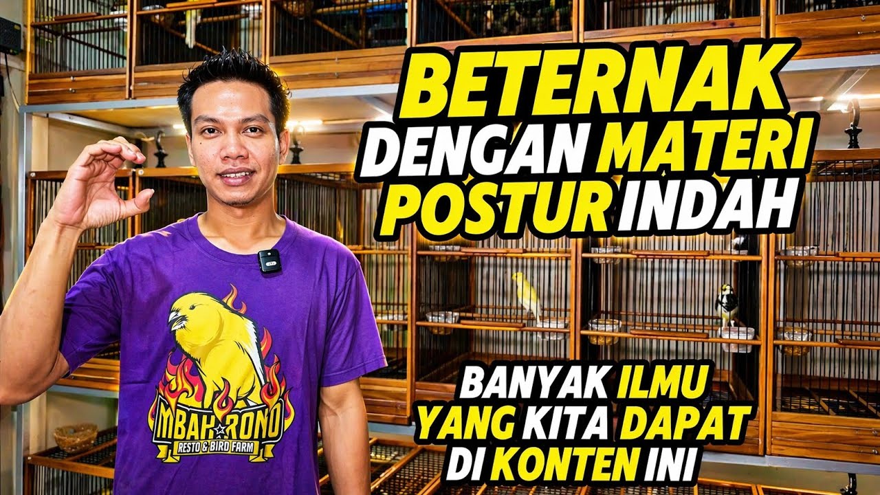 PETERNAK KENARI‼️Materi INDAH-INDAH dengan postur dominan MLENGKUNG...