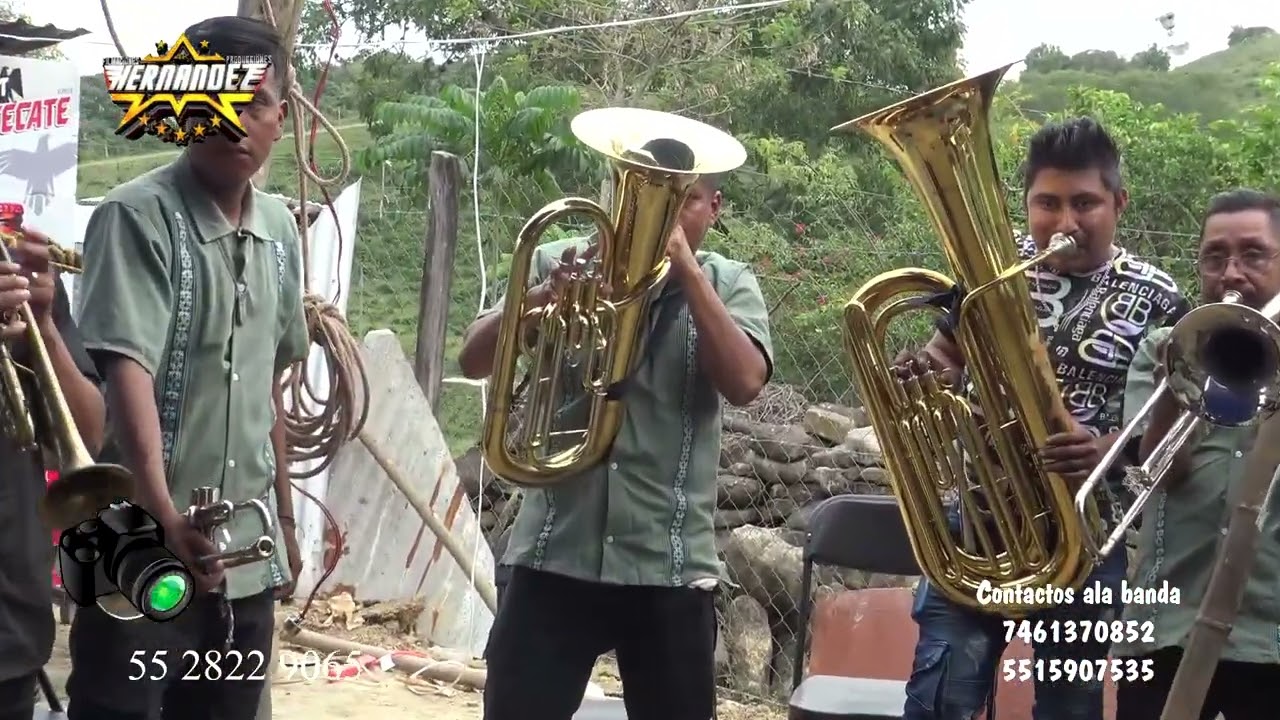 Banda De Viento Citlalxochil Desde Xochimilco Ixhuatlán De Madero Ver. Full HD