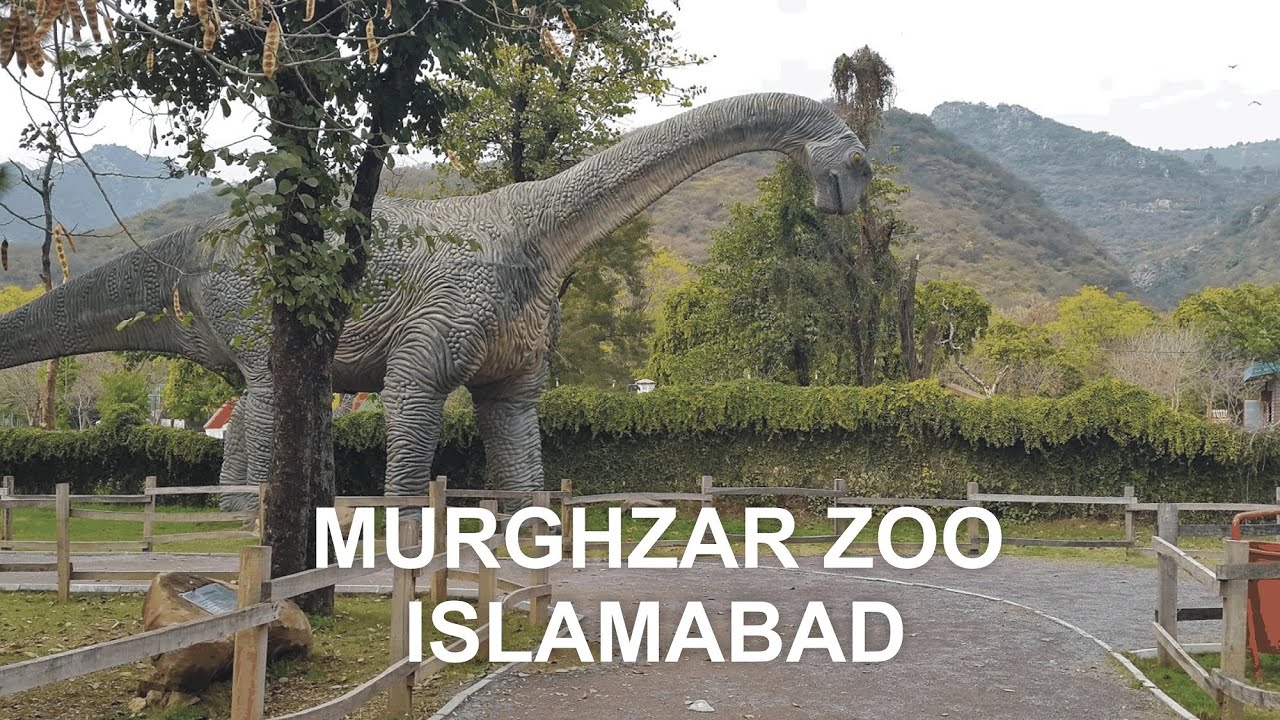Islamabad Murghzar Zoo visit - Zoo animals for children | Xplore Factor