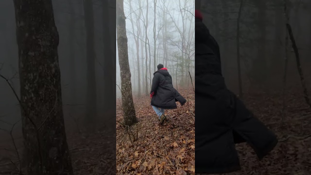 Kiere saber como nosfue en el bosque encantado  mire el video asta el final#montañas