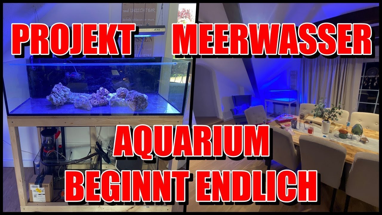 Projekt Meerwasser Aquarium beginnt   🐟🐠