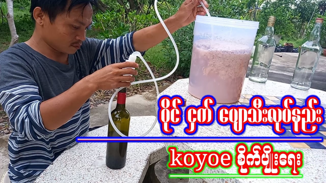 ဝိုင္ငှက်ပျောသီးပြုလုပ်နည်းkoyoeစိုက္ပ်ိဳးေရးစိတ္ဝင္စားရင္ဝင္ၾကည့္လိုက္ပါ