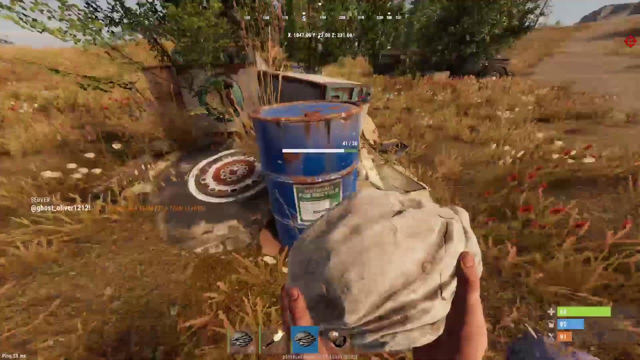 Rust: console edition