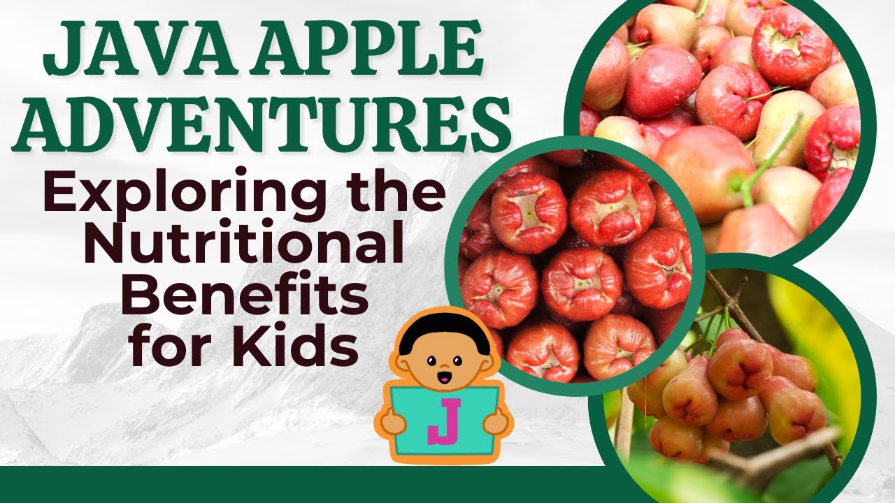 Java Apple Adventures: Exploring the Nutritional Benefits for Kids