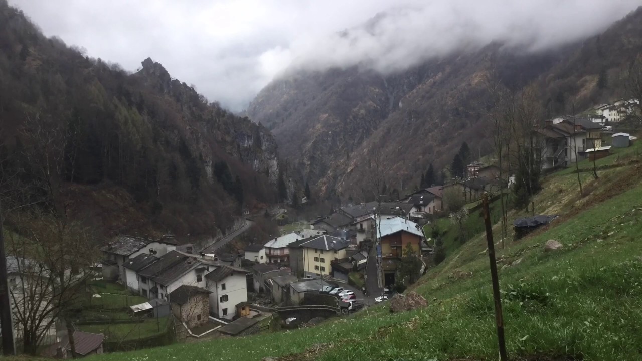 Ornica
