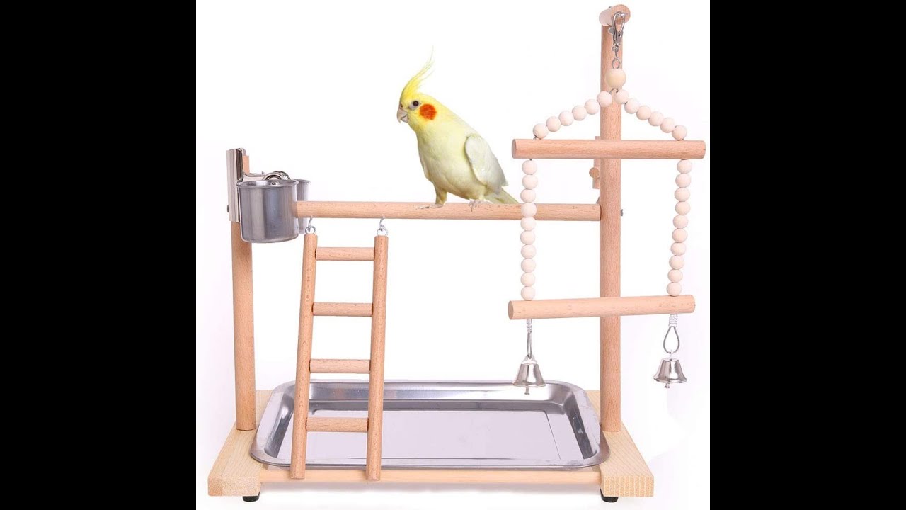 QBLEEV Bird Playground Birdcage Playstand Parrot Play Gym Parakeet Cage Decor Budgie Perch Stand wit