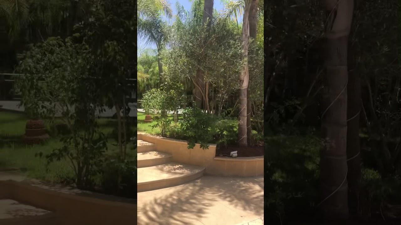 قصر الرباط