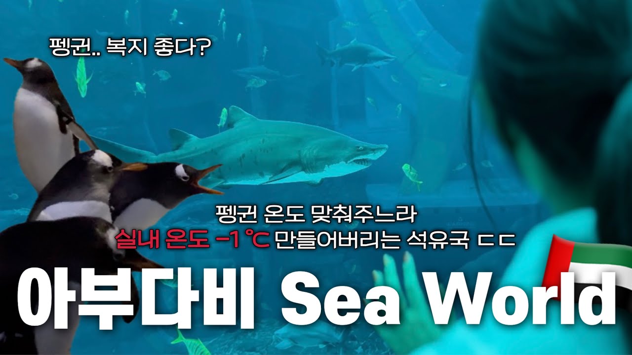 밖은 45℃, 실내는 -1℃?! | 돈 냄새 많이 나는 사막 속 Sea World🐠 | 아부다비 Vlog🇦🇪 ep.1