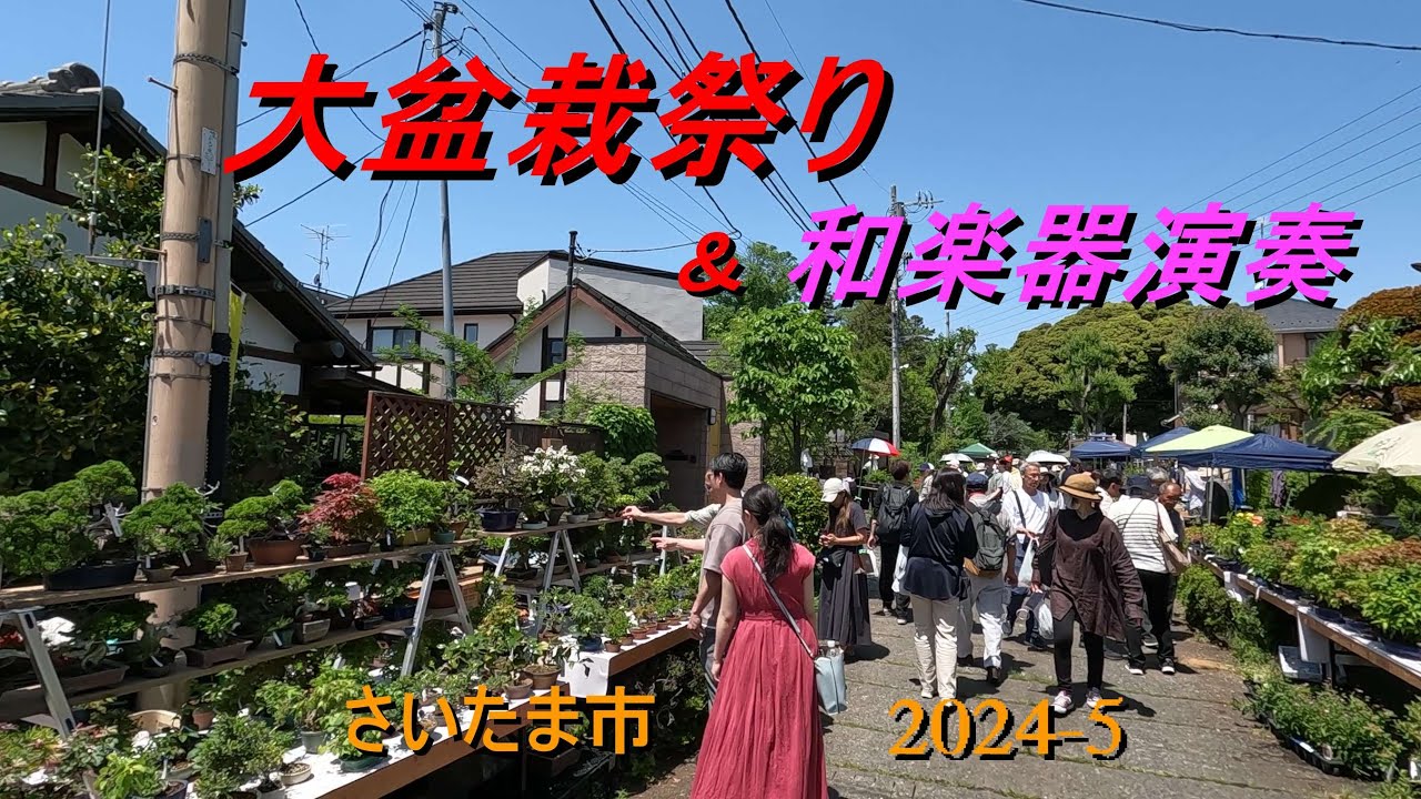 大盆栽祭り・和楽器演奏（さいたま市、2024-5）