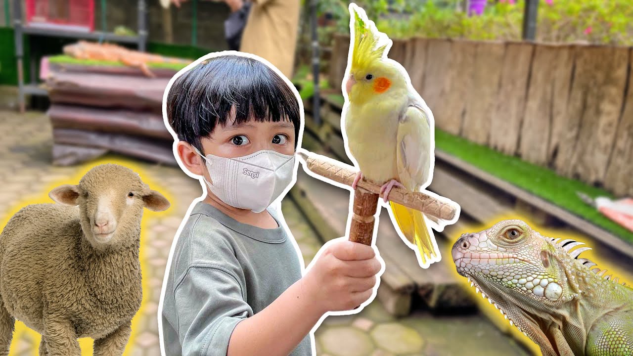 Main Sama Binatang di Farmhouse Susu Lembang - Keluarga Ziyan