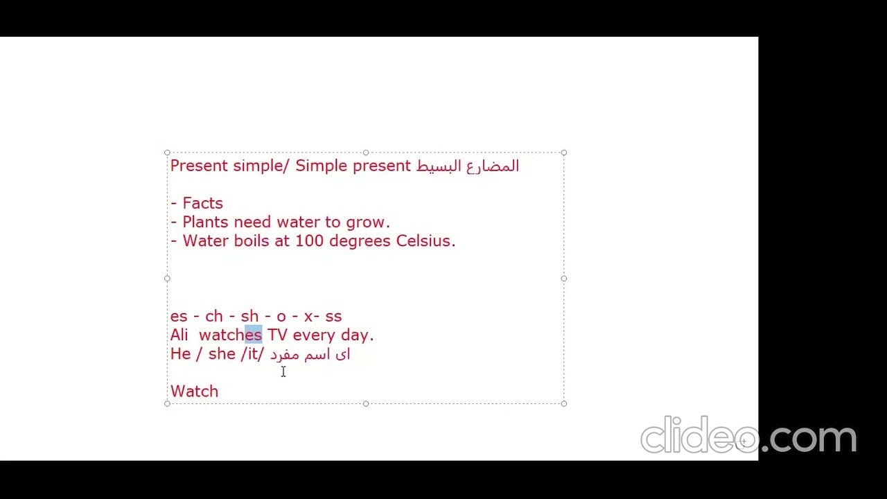 present simple 1 connect plus grade 3 2026 term 2 