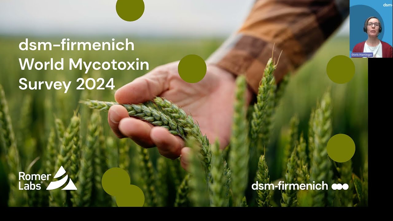 dsm-firmenich World Mycotoxin Survey 2024: Global Overview
