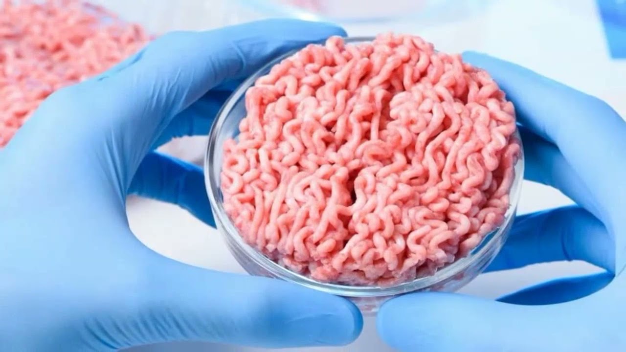 Upside Foods develops animal-free growth medium for cell-based meat
