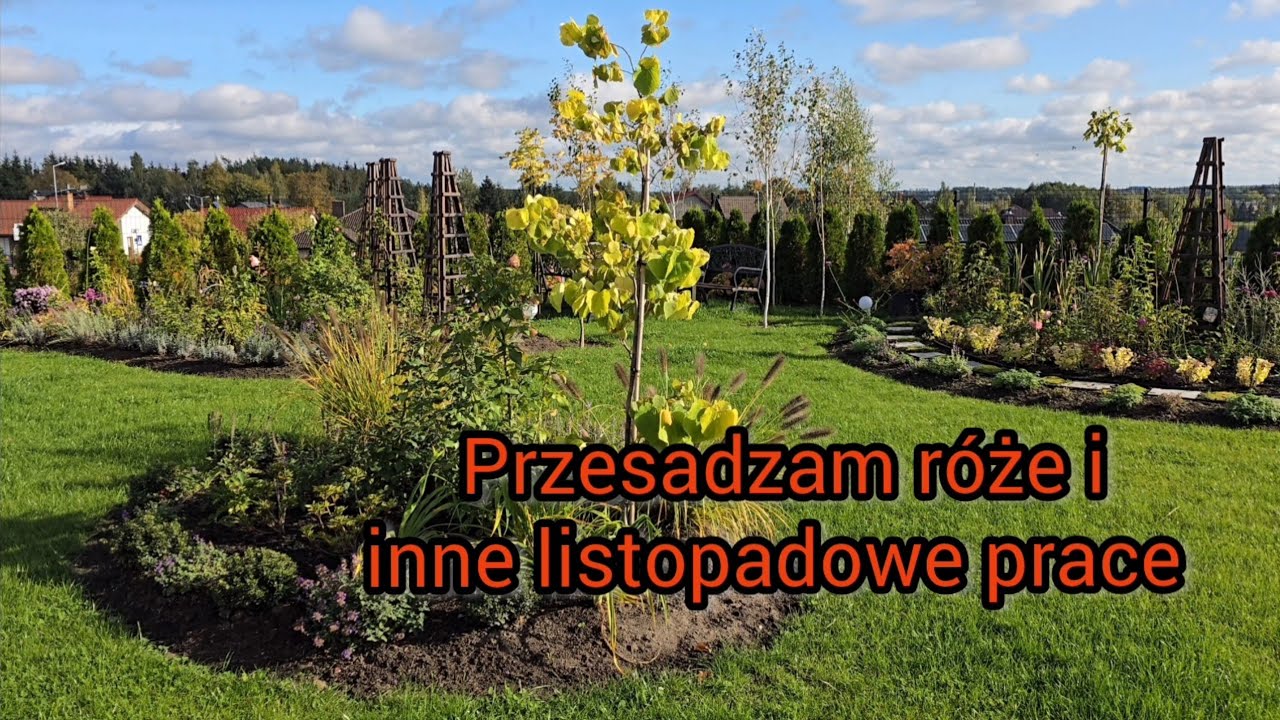 Listopadowe prace w ogrodzie.