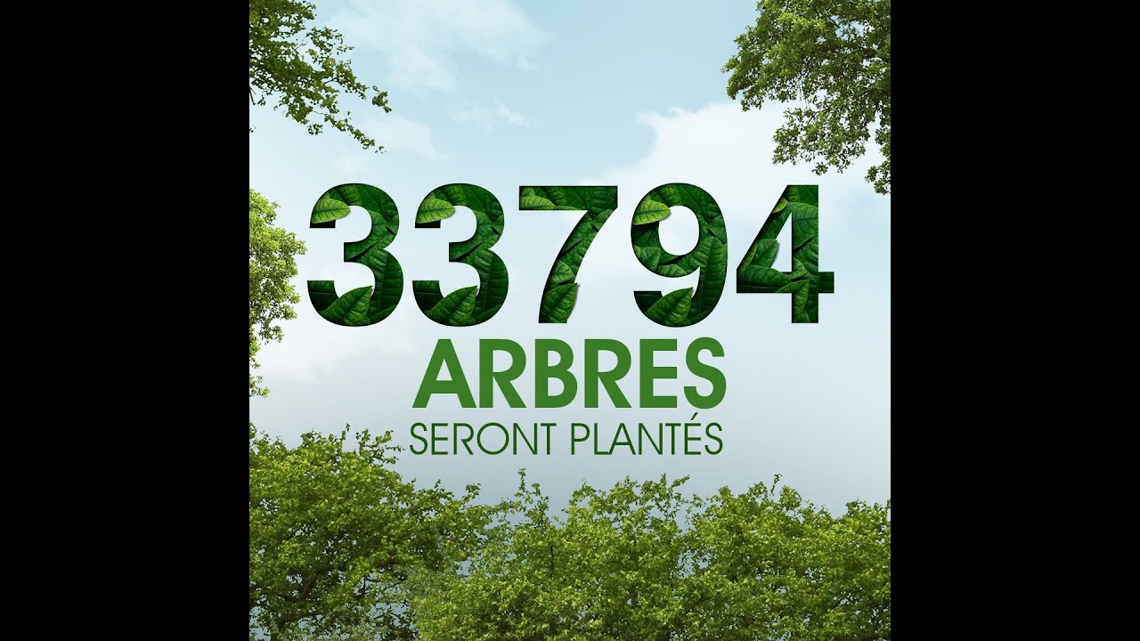 Action de reboisement Marathon 2022