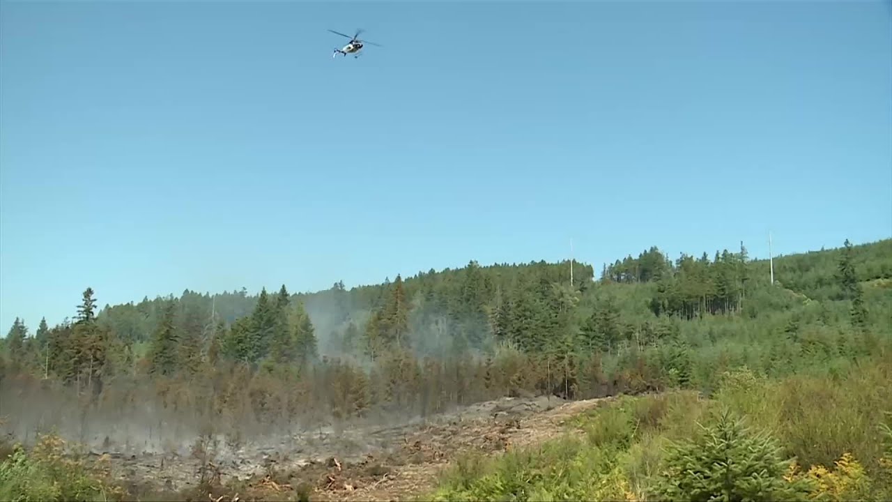Comox Lake wildfire grows to 4.5 hectares