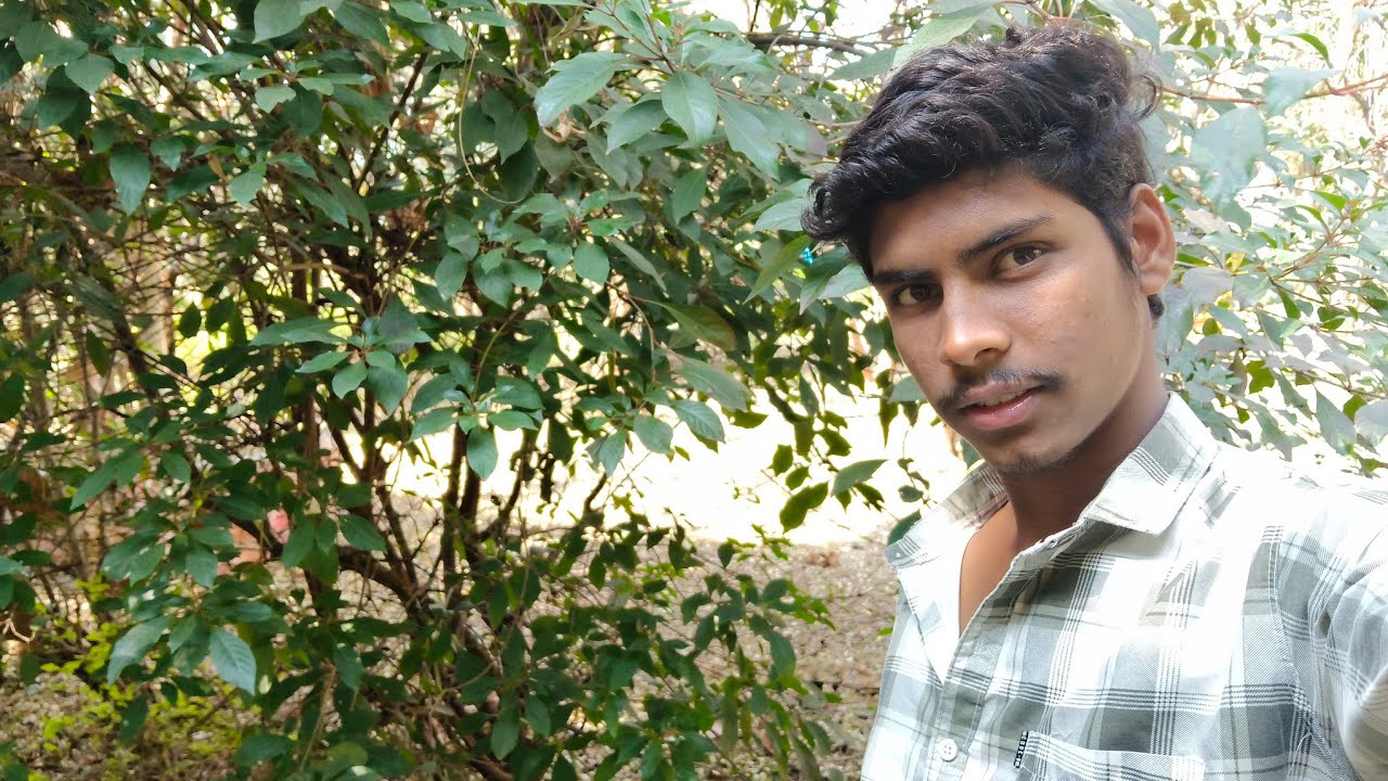 dharam takdi water park chhindwara 🌴| dharam tekri water park chhindwara 