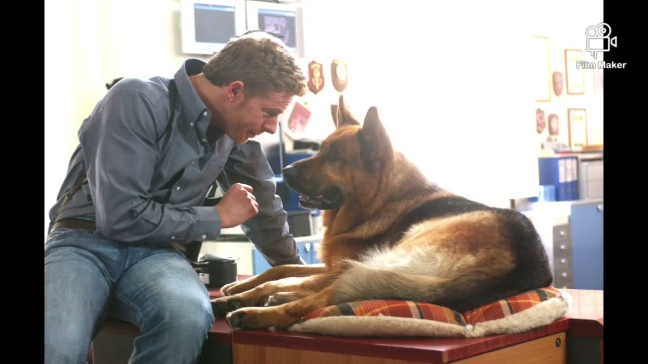 Lorenzo Fabbri and Rex